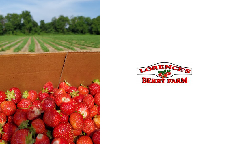 lorences-berry-farm