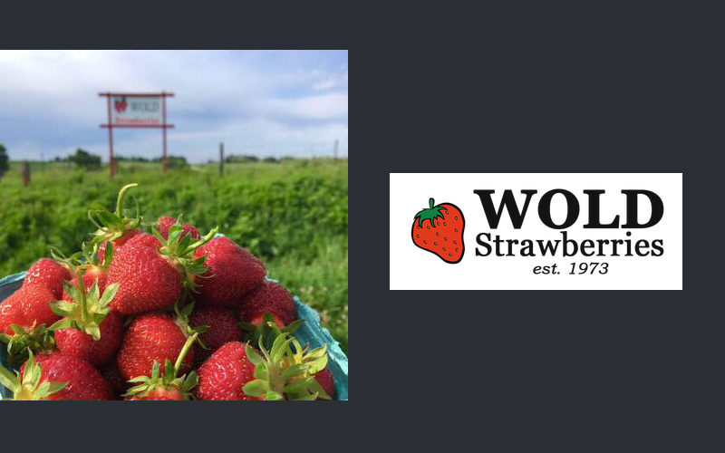 Wold Strawberries 