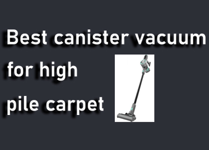 Best canister vacuum for high pile carpet